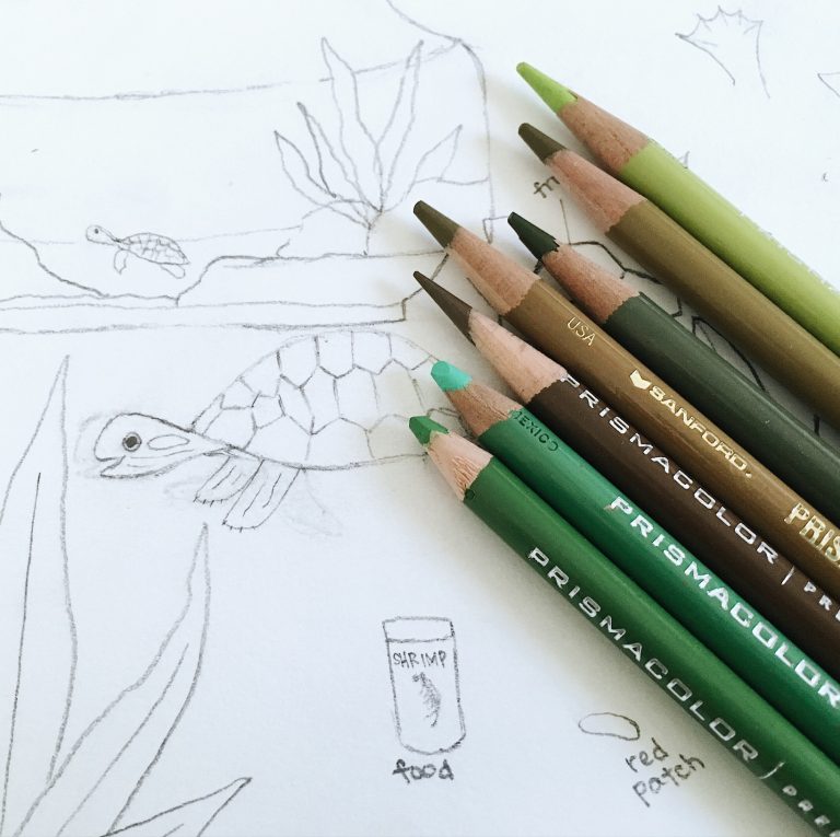 kaganbyron_tinyturtlesketches kaganbyron_tinyturtlesketches
