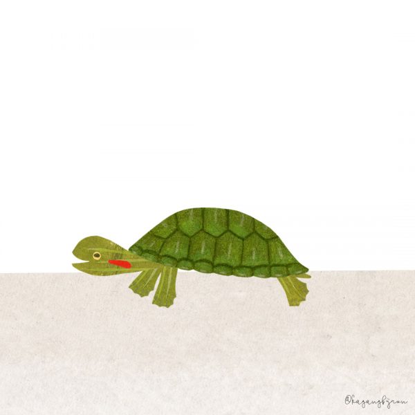 kaganbyron_tinyturtleadvertactualsize_2018 kaganbyron_tinyturtleadvertactualsize_2018