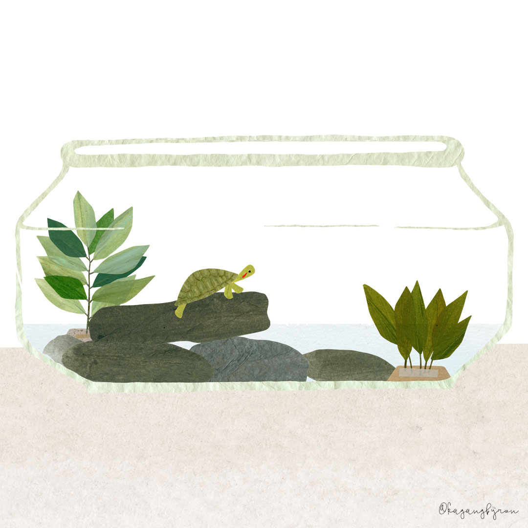 kaganbyron_tinyturtlehabitat_2018 kaganbyron_tinyturtlehabitat_2018