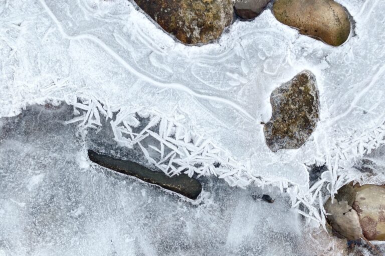 Setting Intentions for a Quiet Winter Season